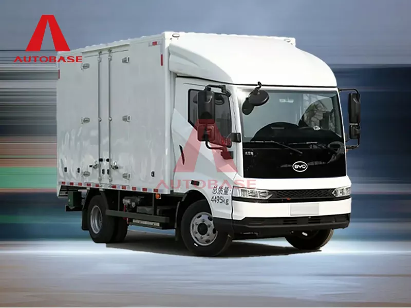 Byd t5ev purong electric light truck